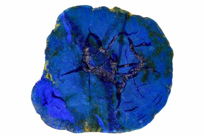 Vivid Blue, Cut/Polished Azurite Nodule - Siberia #175560
